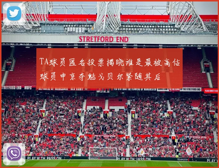 TA球员匿名投票揭晓谁是最被高估球员申京夺魁戈贝尔紧随其后